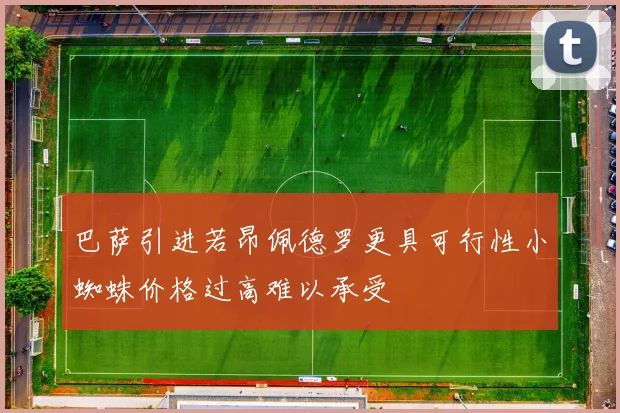 巴萨引进若昂佩德罗更具可行性小蜘蛛价格过高难以承受