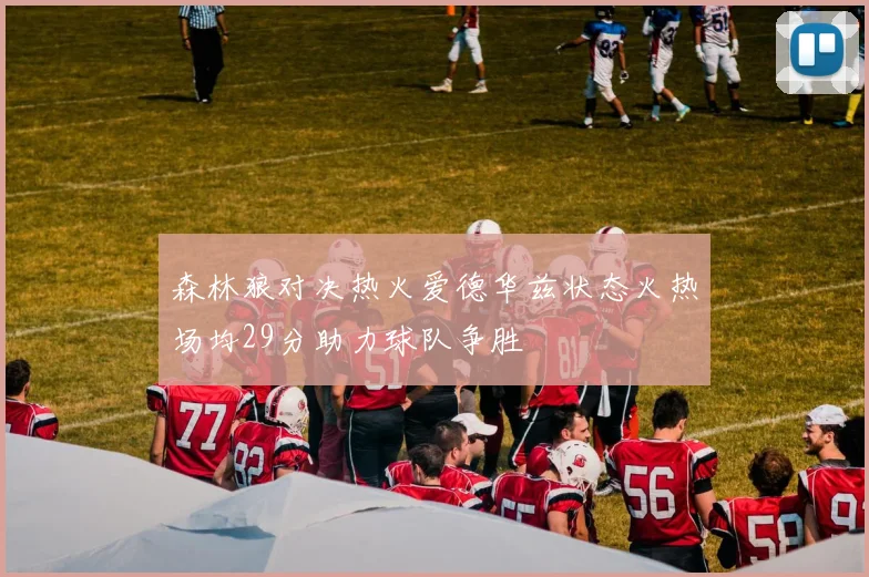 森林狼对决热火爱德华兹状态火热场均29分助力球队争胜